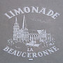 Limonade Maison Savoure