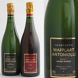 champagne wafflart